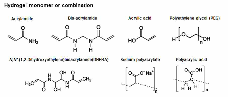 Hydrogel monomer 스크리닝