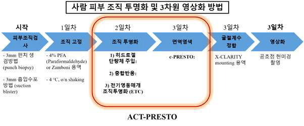 사람피부 조직 투명화 방법을 이용한 말초신경병 진단 프로토콜