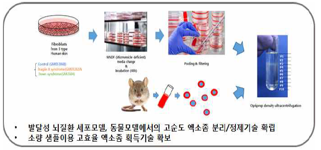 세포/동물모델에서의 엑소좀 분리/정제 전략