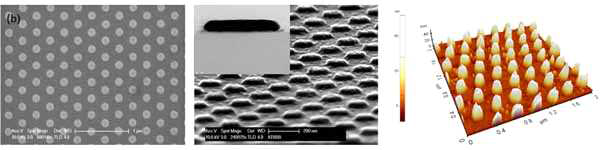 골드 나노 닷 어레이 센서칩 구현 결과 TEM & AFM 이미지