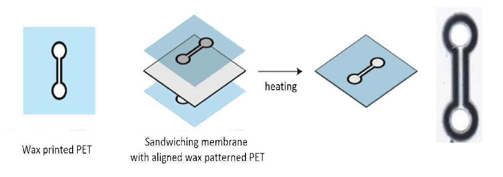 Wax bonding 공정 도식표 및 해당 공정으로 제작한 칩