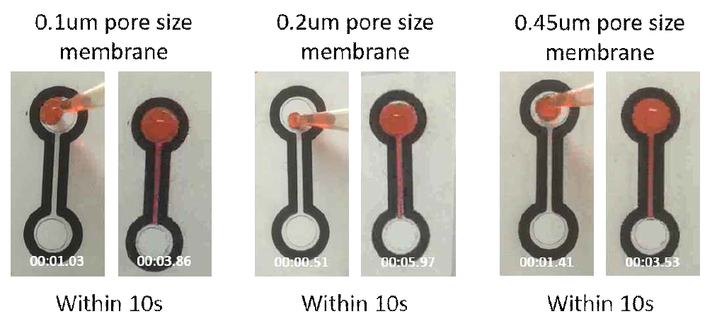 각 pore size membrane 별 흐름성 비교