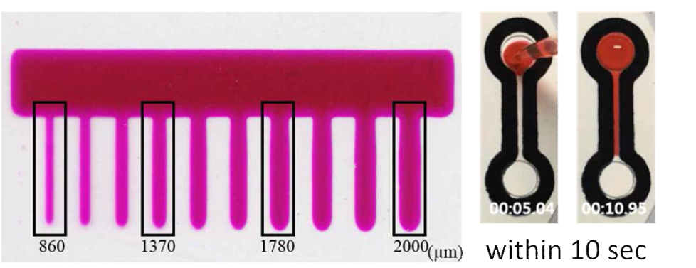 Polytethersulfone membrane에서의 확립된 공정 기법에 따른 공정한계 및 흐름성