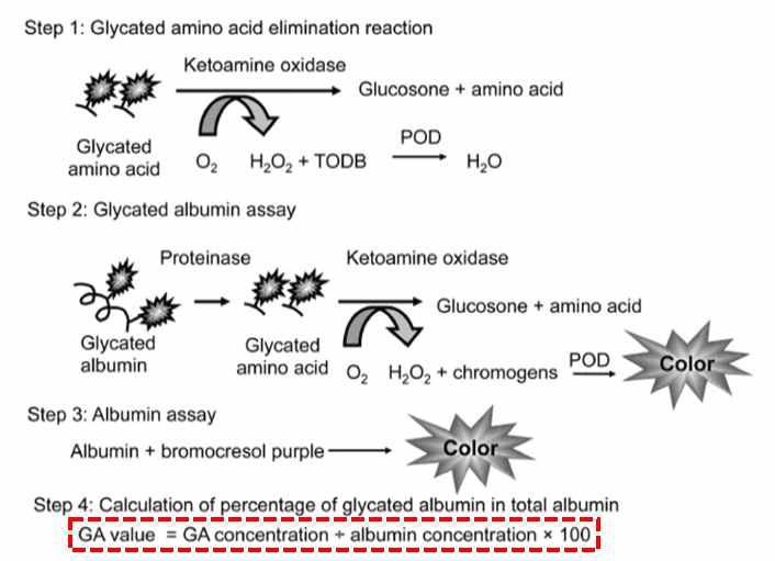효소반응을 이용한 당화알부민 정량분석 방법
