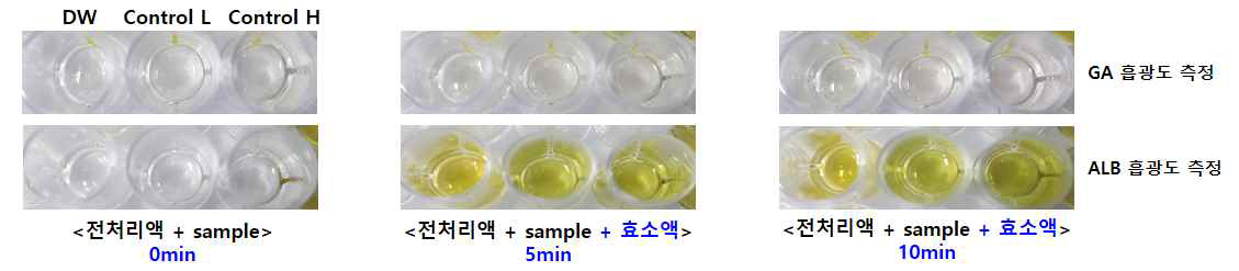 Microplate에서 효소반응 시킨 당화알부민 Control L, Control H에 따른 반응 결과