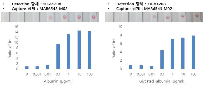 알부민, 당화알부민 검출을 위한 항체쌍을 이용한 알부민, 당화알부 농도에 따른 반응성 결과