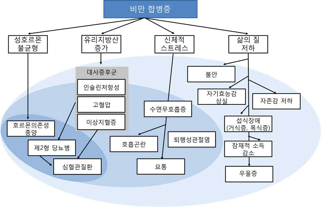 비만으로 인한 합병증 (출처: http://healthnewswires.com/wp-content/uploads/2014/11/obesity-complications.jpg)