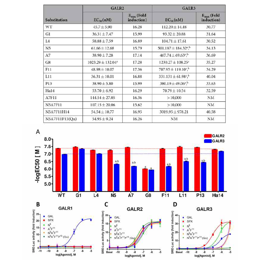 스펙신 아미노산 변형 유도체의 GALR1, 2, 3에 대한 활성도