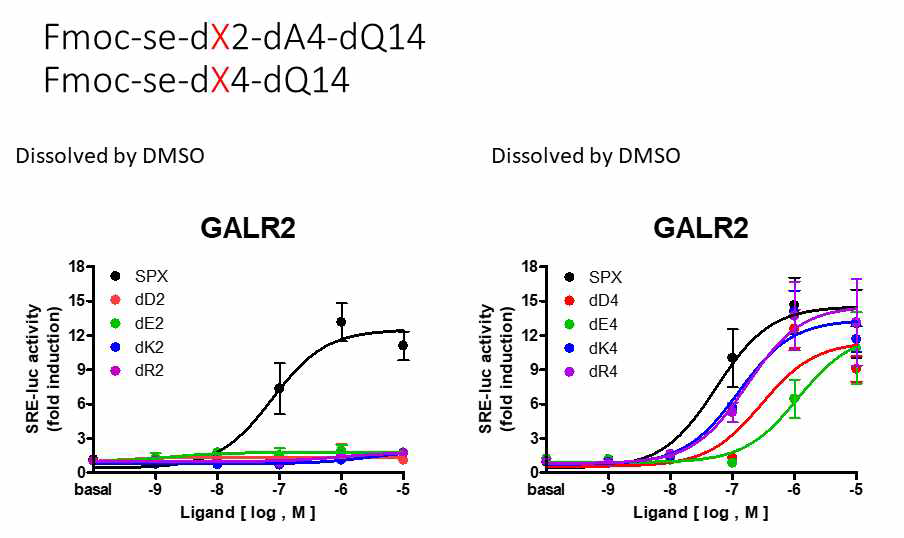 Fmoc-효현제의 아미노산 서열 치환에 의한 GALR2 수용체 활성도 평가