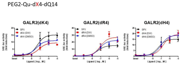 PEG2 결합 형태의 아미노산 치환 효현제들의 GALR2 활성도 평가