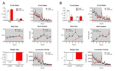 미세식이섭취양상 분석 및 자발성 운동량에 대한 GJ39 효현제의 중추 작용. A: 1 ug, B: 5 ug의 GPR39 효현제