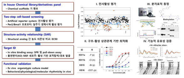 CBA를 이용한 선도물질 도출 연구 흐름도