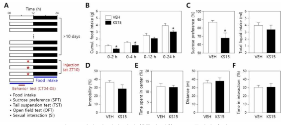 섭식 및 정서 관련 행동에 대한 KS15 투여의 효과