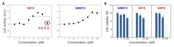 KS15와 저독성 CRYs 억제제의 세포독성 비교평가