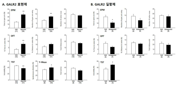 GALR2 효현제 처리에 의한 우울/불안 행동 감소