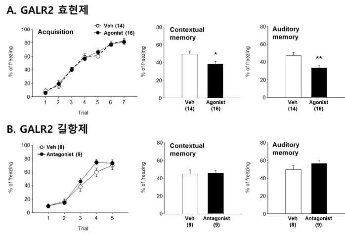 GALR2 효현제 처리에 의한 조건화 공포 반응의 감소