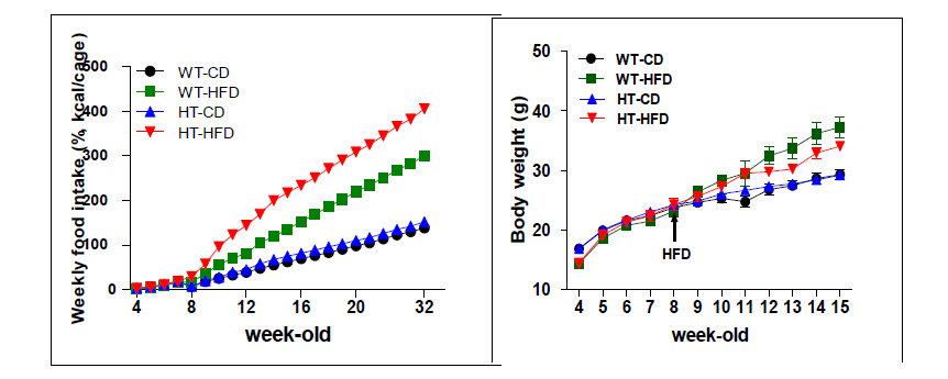 Resistance to DIO in POMCΔCRIF1 mice