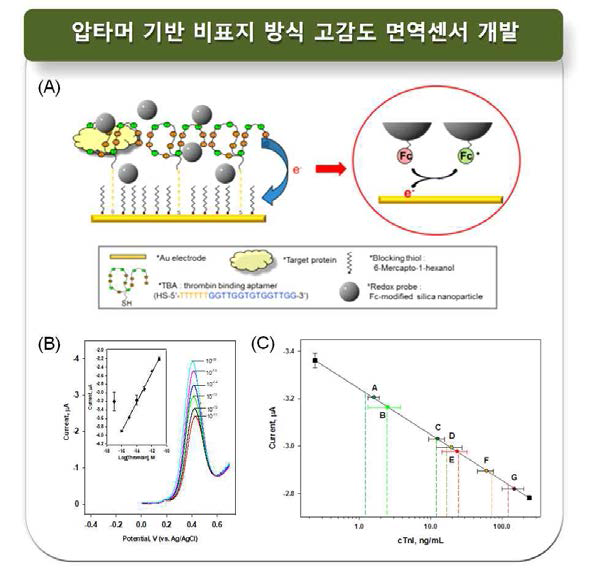 (A) 새로운 비표지 방식의 압타머 센서의 작동 원리, (B) 상기 원리에 의해 구현된 트롬빈 압타머 센서의 검정곡선, (C) 심혈 관질환의 바이오마커인 troponin I (TnI)를 환자 혈청에서 농도를 측정하고 이를 의료용 표준장비와 비교한 상관도