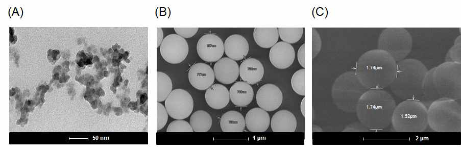 합성된 전기화학적 활성 probe의 SEM 이미지: (A) 15 nm, (B) 800 nm, (C) 1600 nm probe