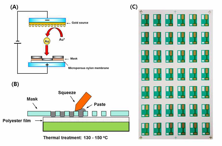 (A) 금 이온을 이용한 증착 방법, (B) 스크린 프린팅 방법을 이용한 전극 제작 과정 및 (C) 실제 제작된전극