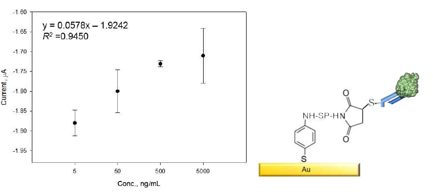 Conjugation chemistry를 이용하여 CCP검출을 위한 센서의 감응 및 모식도