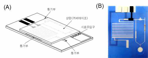 상판 (커버테이프)이 조립된 LOFC의 (A) 모식도 및 (B) 실제 완성된 전극 카트리지의 사진