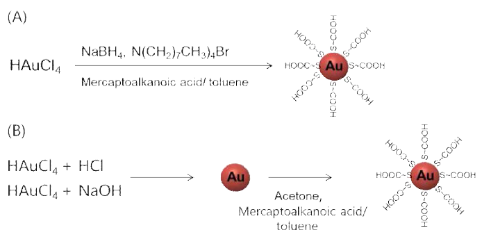 카르복실기를 가지는 금 나노입자의 합성: (A) Brust- Schiffrin법, (B) Martin법