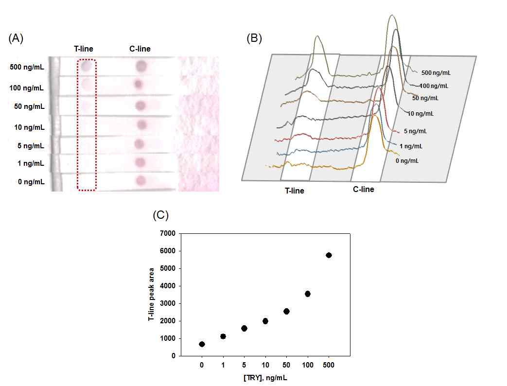 (A) 비색법 면역크로마토그래피 TRY 검출 실험결과 사진, (B) 색분석을 통한 발색신호세기 그래프, (C) TRY 농도별 발색신호 검정곡선