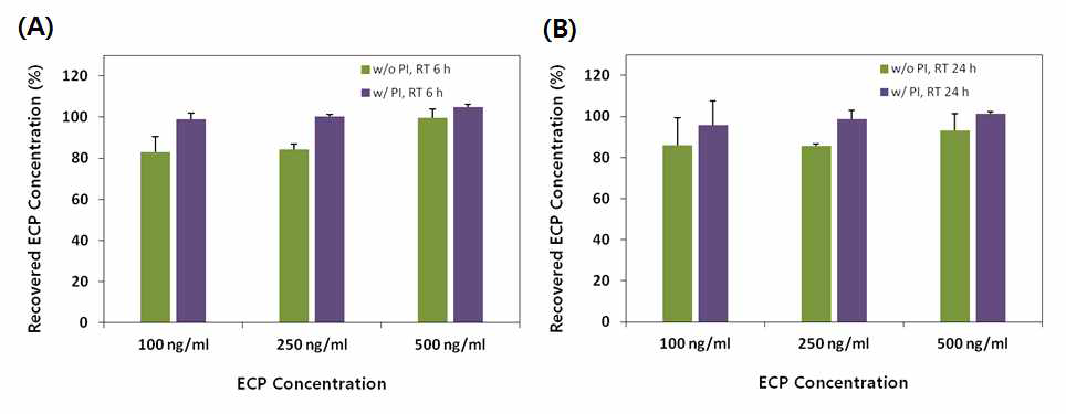 ECP 단백질 추출액에 대해 PI 처리여부에 따른 ECP 안정성 평가 결과 (A) 6 시간 보관, (B) 24 시간 보관