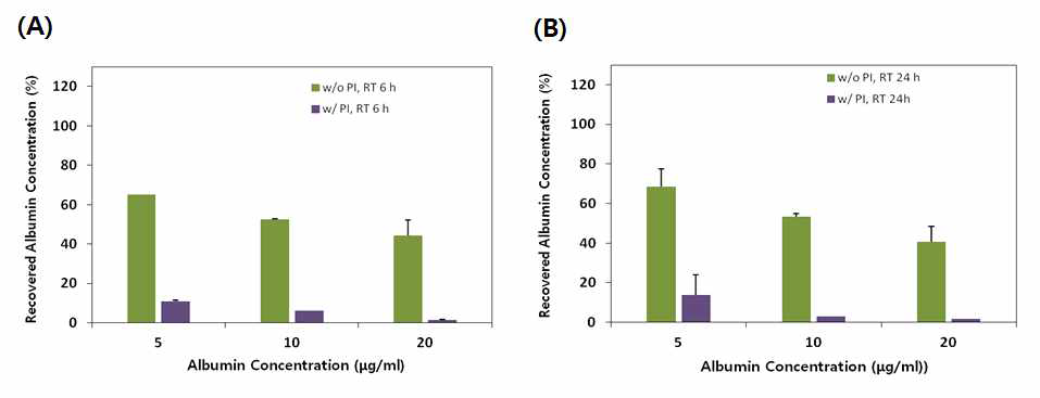 단백질 추출액에 대한 PI 처리여부에 따른 albumin 안정성 평가 (A) 6 시간 보관, (B) 24 시간 보관
