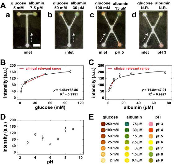 (A)비색법 분석, (B-D)글루코즈, 알부민, pH 분석의 intensity 분석법, (E)각 분석법의 칼라시트