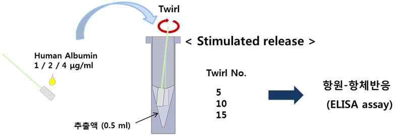 물리적 자극 (Twirl) 정도에 따른 알레르기 비염 바이오마커 농도 회수율 평가 실험 개략도