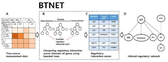 시계열 데이터로부터 유전자 조절 관계 네트워크 추론 알고리즘 (BTNET) 모식도
