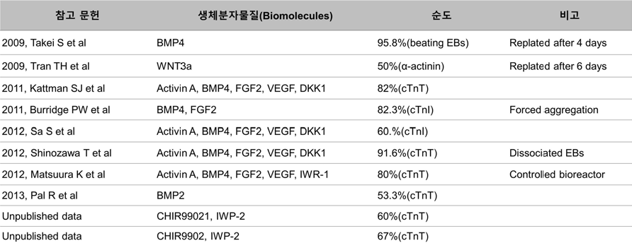 배양기법을 이용한 심근세포 분화 효율