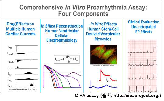Comprehensive In vitro Proarrhythmia Assay