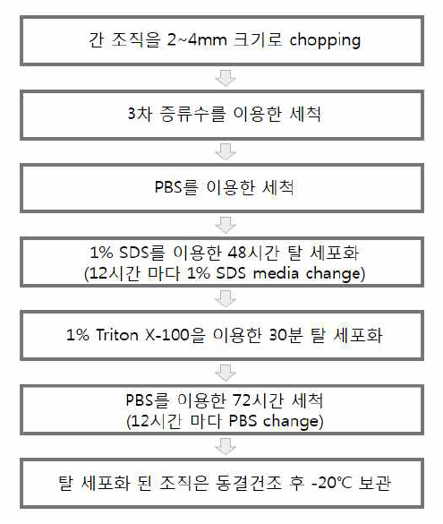 조직의 탈 세포화 과정