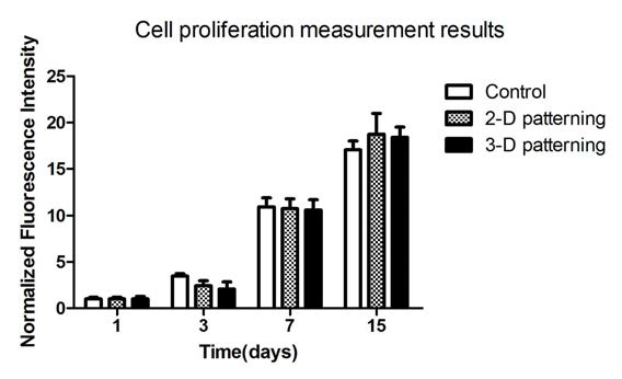 2D와 3D 구조체에서의 세포 증식 실험 결과
