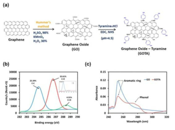 GO 유도체 합성 모식도 (a). 합성된 GO 유도체 XPS 분석 (b) 및 UV 스펙트럼 분석 (c)