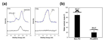 pSBTA 공중합체가 고정화된 표면의 XPS 원소분석 결과 (a), 접촉각 측정 결과 (n=3, mean ± SD, ***p<0.001)