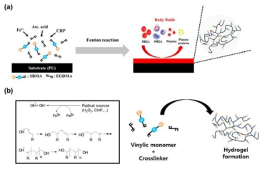 Fenton 반응을 이용한 in situ 가교 반응 모식도 (a) 및 zwitterion 함유 하이드로젤 코팅 모식도 (b)