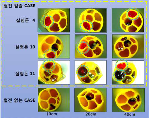 항혈전 실험 결과 현미경 사진