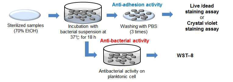 미생물 부착 연구를 위한 모식도