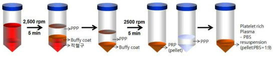 혈액에서 platelet rich plasma 분리 방법