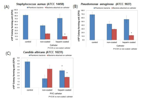 헤파린이 코팅된 다중루멘 카디오도관 시작품에서 미생물 부착 평가 (A)Staphylococcus aureus, (B) Pseudomonas aeruginosa, (C) Candida albicans