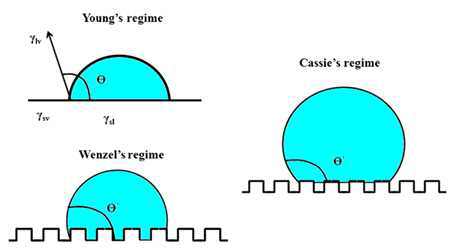 Illustration of a liquid drop standing on a smooth surface (Young′s regime) and on a rough surface in a Wenzel′s or Cassie-Baxter regime