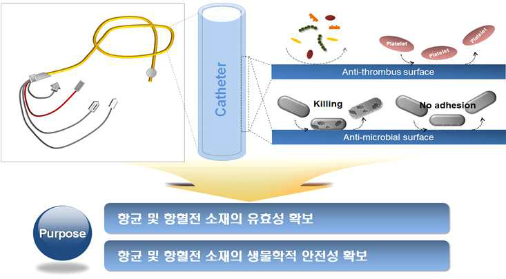 연구 개발 개요