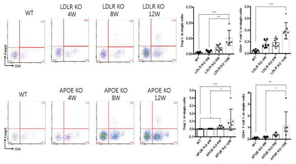 고지혈증 유발 사료 급이 주령에 Regulatory T cells 변화 양상 분석결과