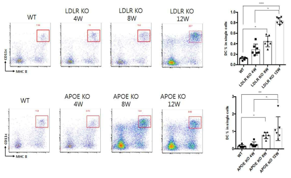 고지혈증 유발 사료 급이 주령에 Dendritic cells 변화 양상 분석결과