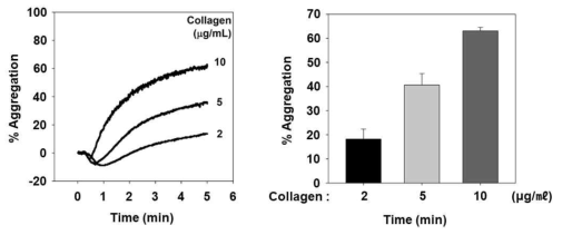 Collagen 농도 의존적 마우스의 혈소판 응집능 증가