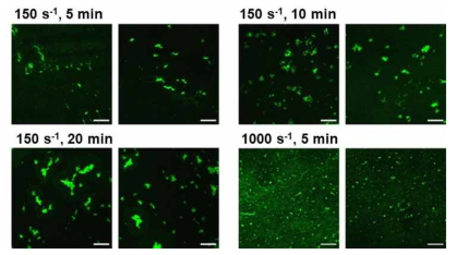 Shear stress와 처리시간에 따른 혈소판의 collagen에 대한 부착과 응집